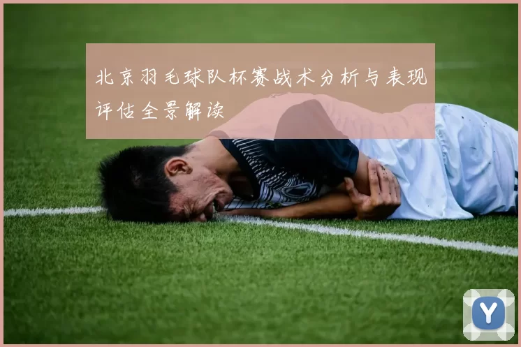 北京羽毛球队杯赛战术分析与表现评估全景解读