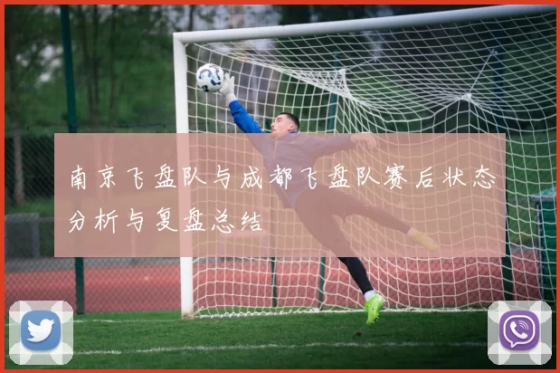 南京飞盘队与成都飞盘队赛后状态分析与复盘总结