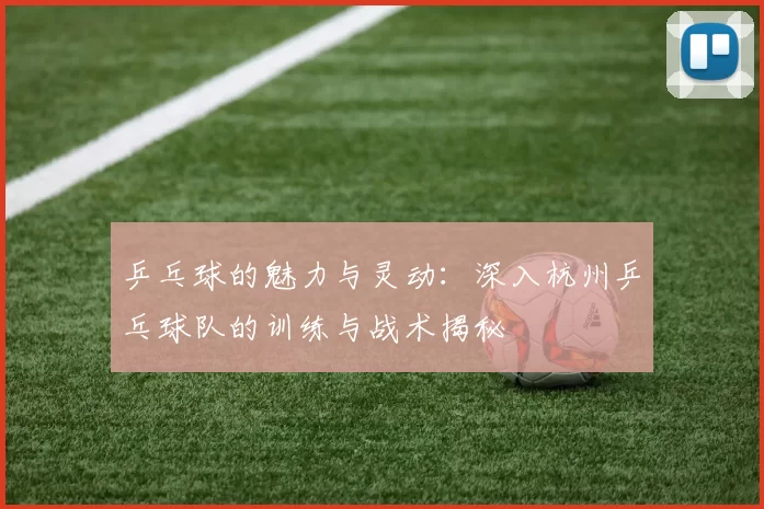 乒乓球的魅力与灵动：深入杭州乒乓球队的训练与战术揭秘