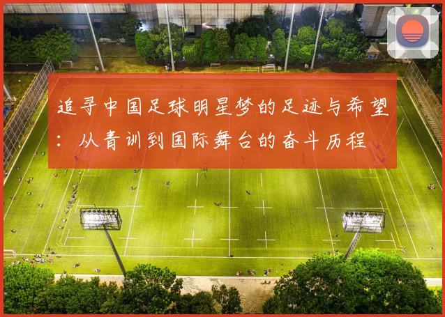 追寻中国足球明星梦的足迹与希望：从青训到国际舞台的奋斗历程