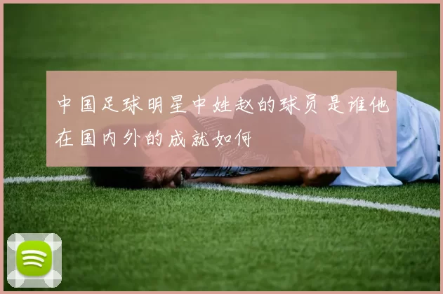 中国足球明星中姓赵的球员是谁他在国内外的成就如何
