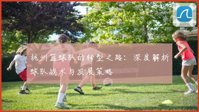 杭州篮球队的转型之路：深度解析球队战术与发展策略