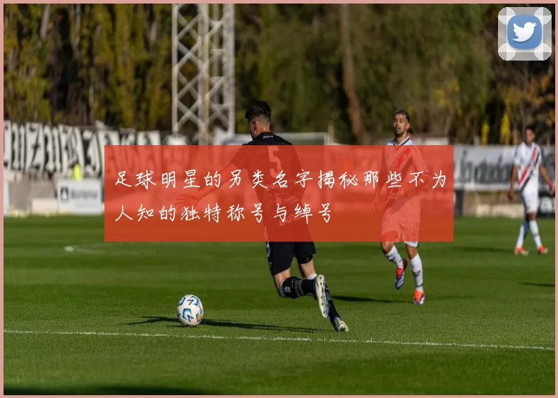 足球明星的另类名字揭秘那些不为人知的独特称号与绰号