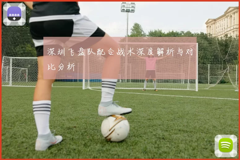 深圳飞盘队配合战术深度解析与对比分析
