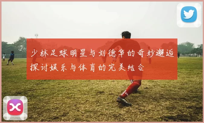 少林足球明星与刘德华的奇妙邂逅探讨娱乐与体育的完美结合
