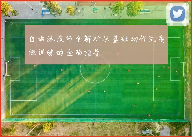 自由泳技巧全解析从基础动作到高级训练的全面指导