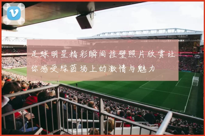 足球明星精彩瞬间挂壁照片欣赏让你感受绿茵场上的激情与魅力