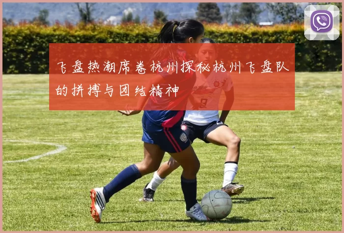 飞盘热潮席卷杭州探秘杭州飞盘队的拼搏与团结精神