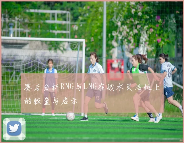 赛后分析RNG与LNG在战术灵活性上的较量与启示