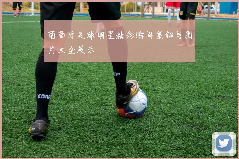 葡萄牙足球明星精彩瞬间集锦与图片大全展示