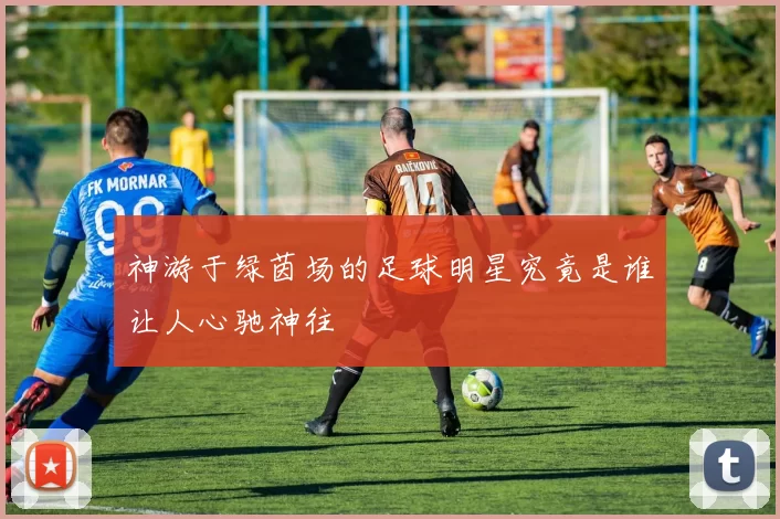 神游于绿茵场的足球明星究竟是谁让人心驰神往
