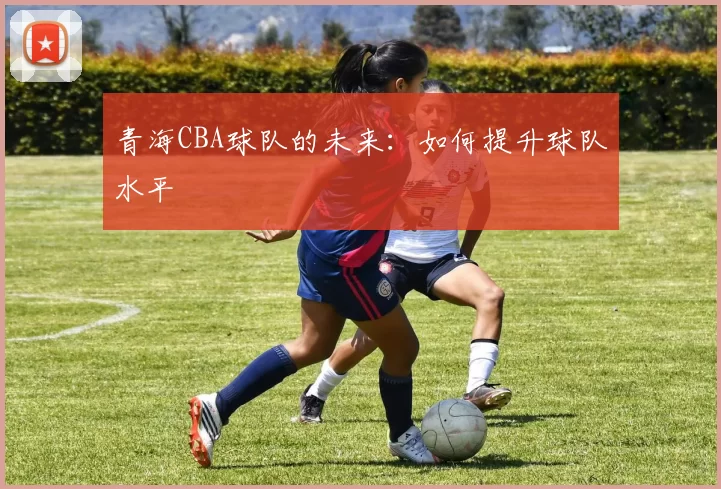 青海CBA球队的未来：如何提升球队水平