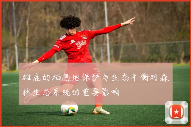雄鹿的栖息地保护与生态平衡对森林生态系统的重要影响