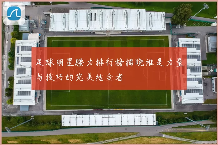 足球明星腰力排行榜揭晓谁是力量与技巧的完美结合者