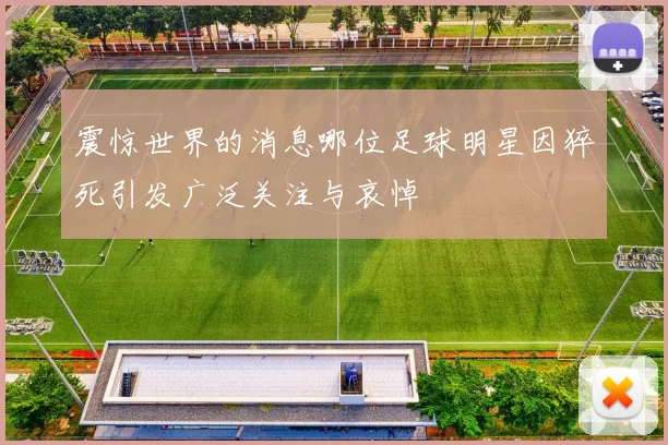 震惊世界的消息哪位足球明星因猝死引发广泛关注与哀悼