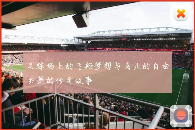 足球场上的飞翔梦想与鸟儿的自由共舞的传奇故事