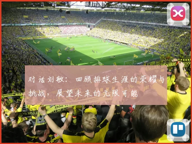 对话刘敏：回顾排球生涯的荣耀与挑战，展望未来的无限可能