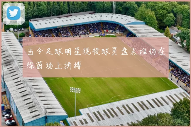 当今足球明星现役球员盘点谁仍在绿茵场上拼搏
