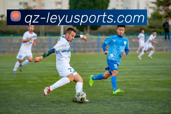 App Interface Preview